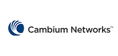 cambium